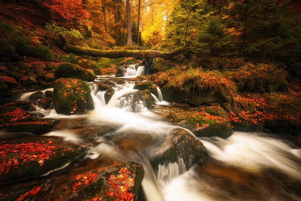 Flüssiger Herbst - fotokunst von Oliver Henze