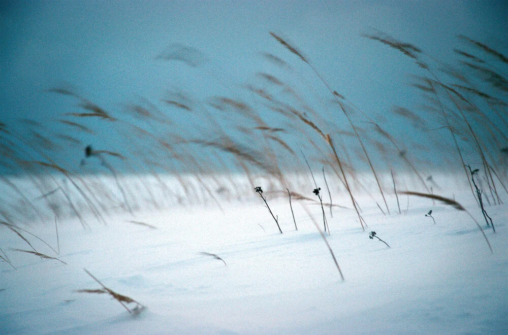 Lettische Winter - fotokunst von Carsten Wilde