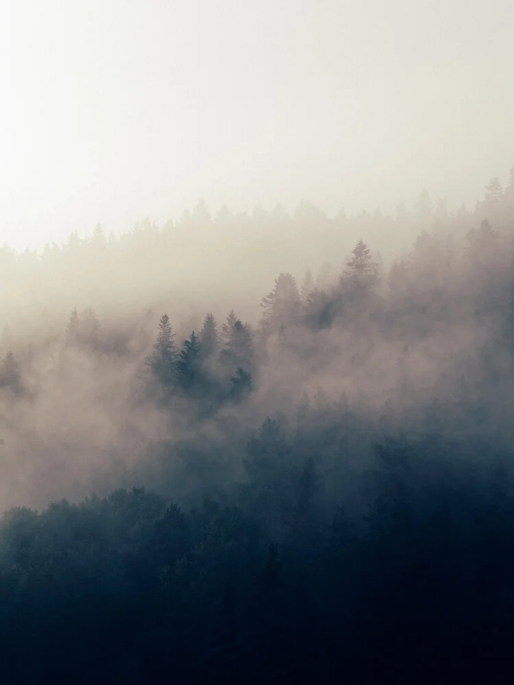 Before Winter - fotokunst von Stéphane Dupin