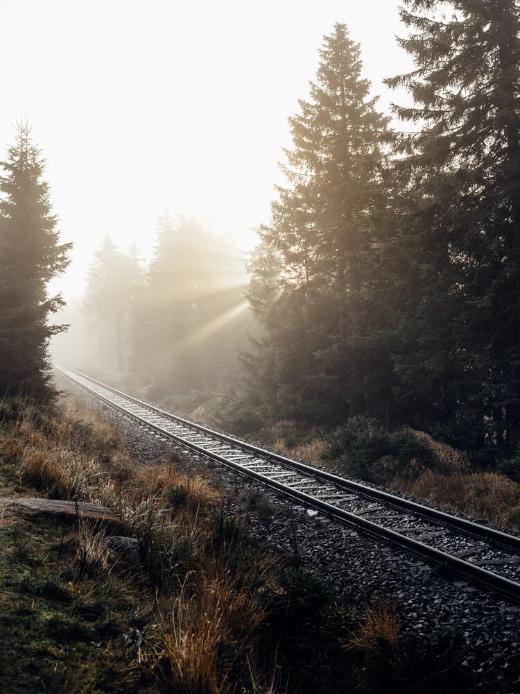 Rays for days - Sonnenaufgang auf dem Weg zum Brocken - fotokunst von Oliver Henze