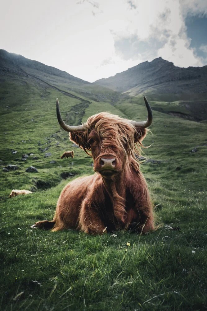 Trendige Haare - fotokunst von Dominic Lars