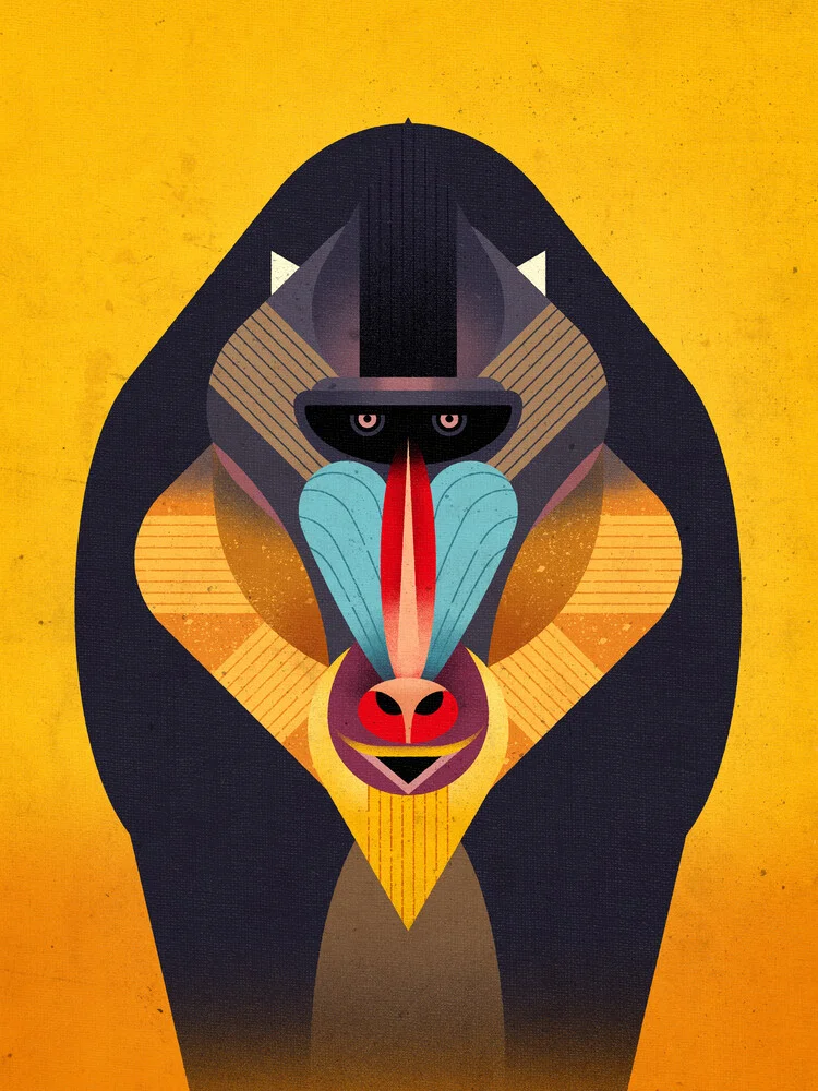 Mandrill - fotokunst von Dieter Braun