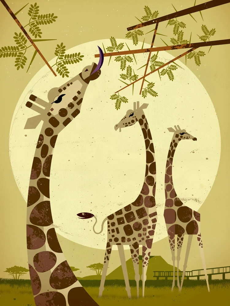 Giraffen - fotokunst von Dieter Braun