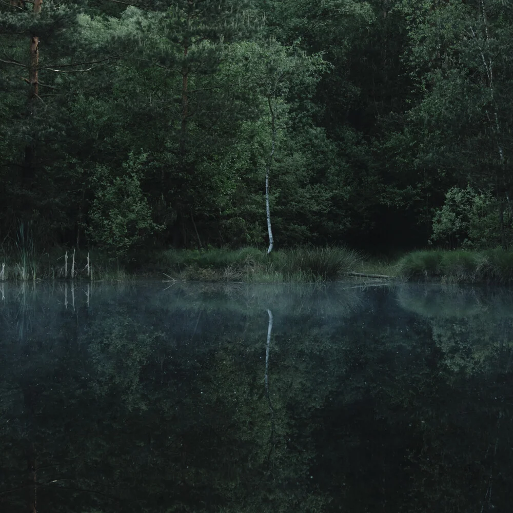 Morgenstimmung im Furlbachtal - Teutoburger Wald - an den Bentteichen - fotokunst von Nadja Jacke