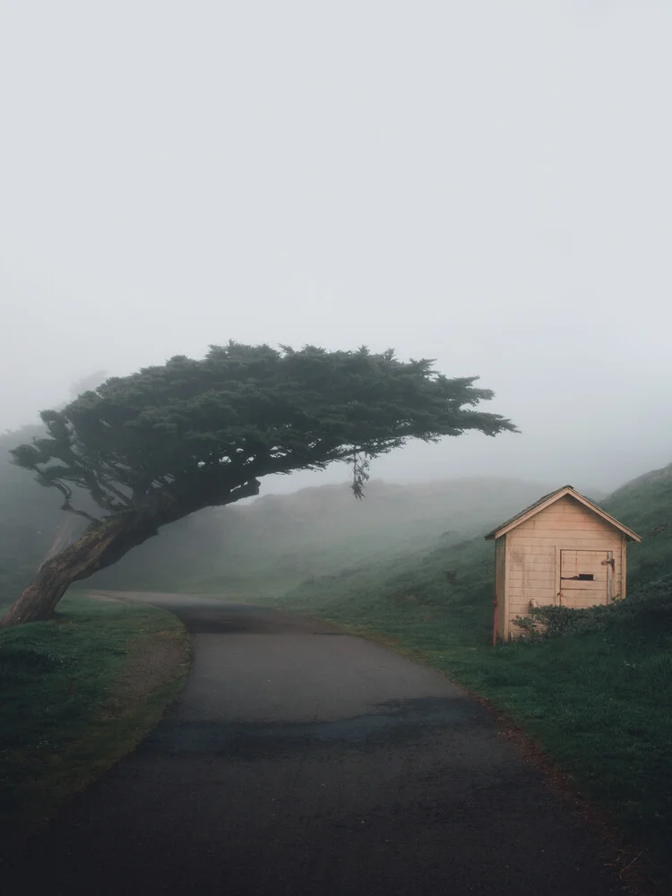 in harmony - fotokunst von Leo Thomas