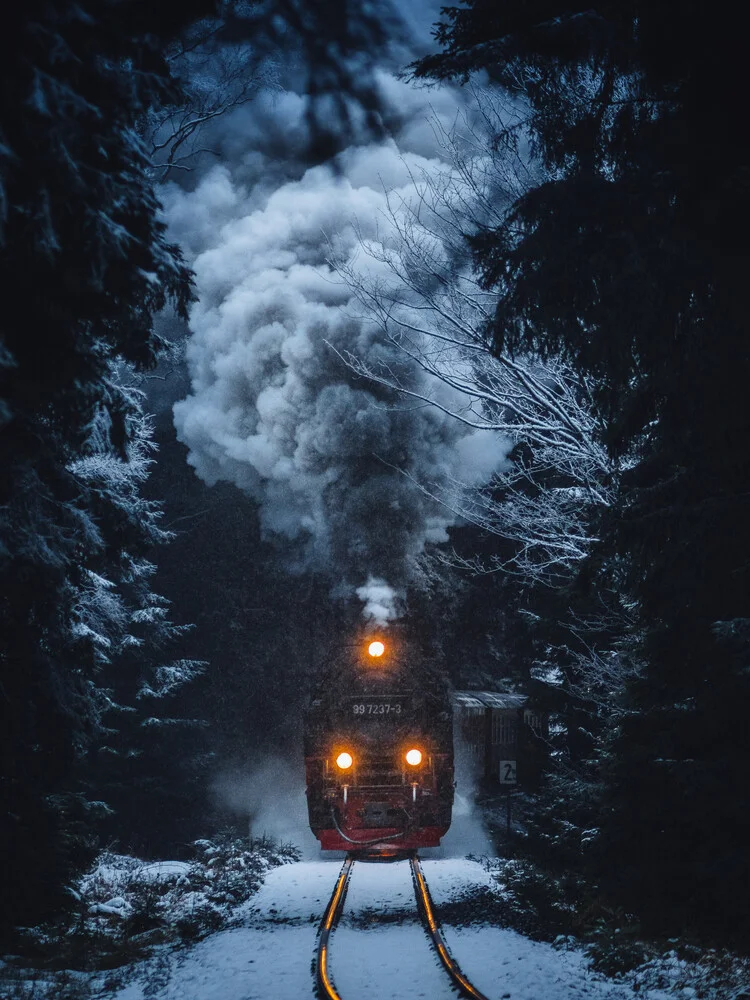 Last Train Home - fotokunst von Maximilian Fischer
