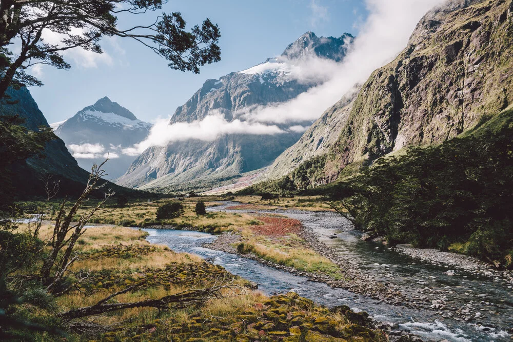 Fiordland - fotokunst von Roman Königshofer