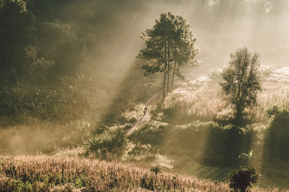 Morgenstimmung in Nord Thailand - fotokunst von Roman Königshofer