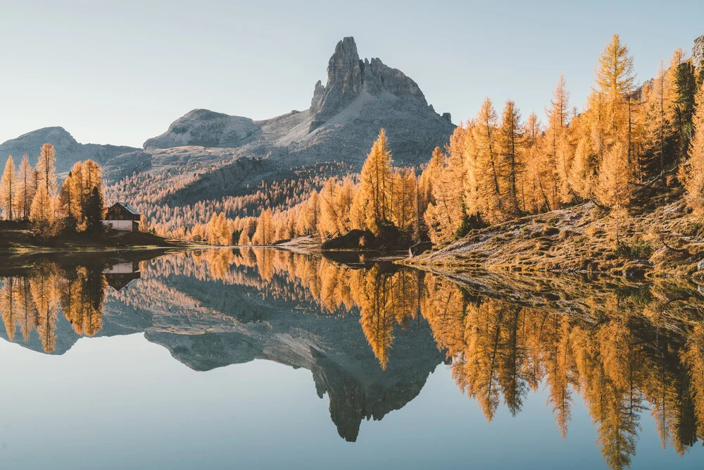 Vibrant fall colors in the Dolomites - Fineart photography by Roman Königshofer