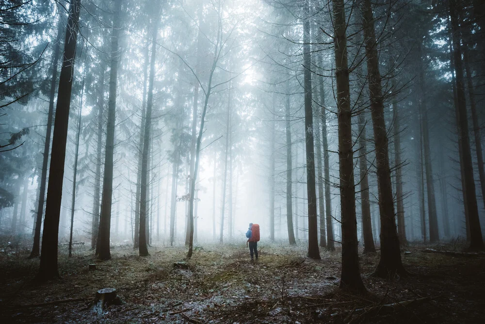 Misty Forest - fotokunst von Asyraf Syamsul