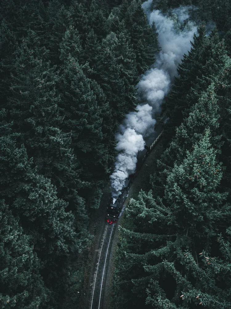 Forest Train - fotokunst von Luca Jaenichen