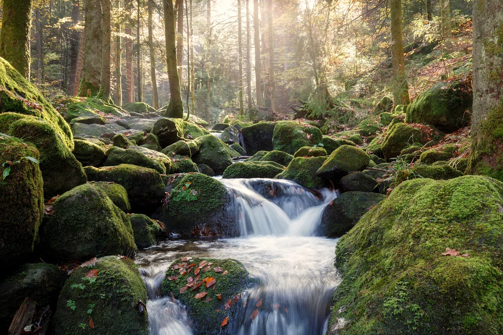 Schwarzwaldbach im Herbst - fotokunst von Moritz Esser