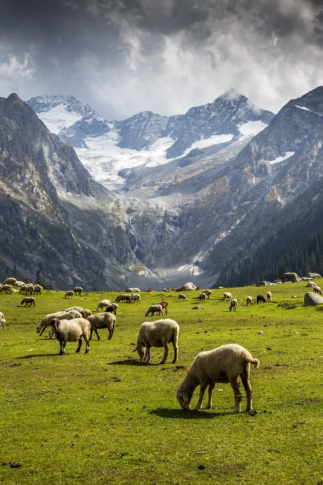 Jahaz Banda Meadows - Fineart photography by Sher Ali