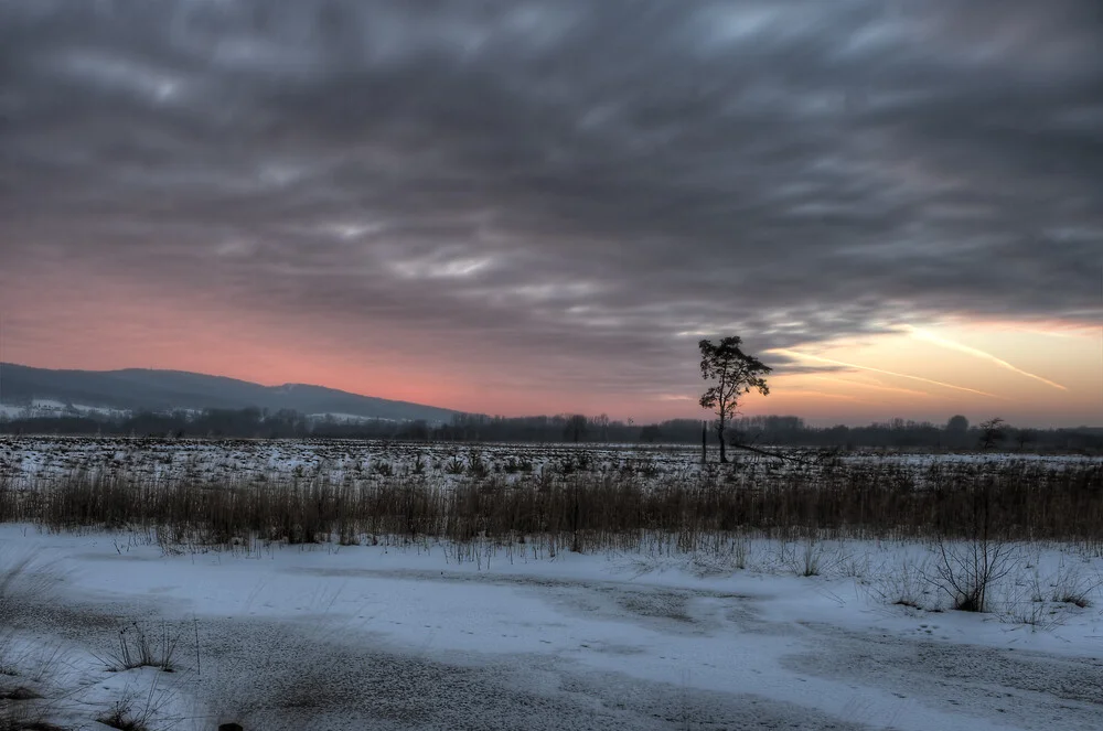 Mystischer Sonnenuntergang im Grossen Torfmoor - fotokunst von Sascha Wichert