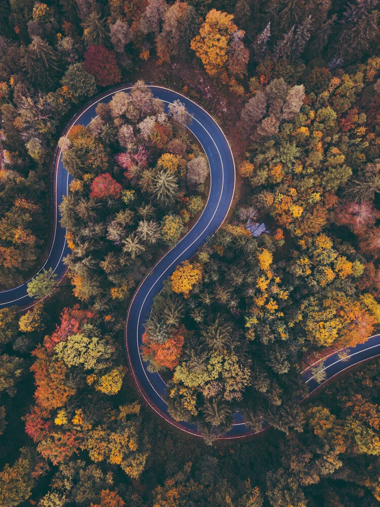 Winding Roads - Fineart photography by Gergo Kazsimer