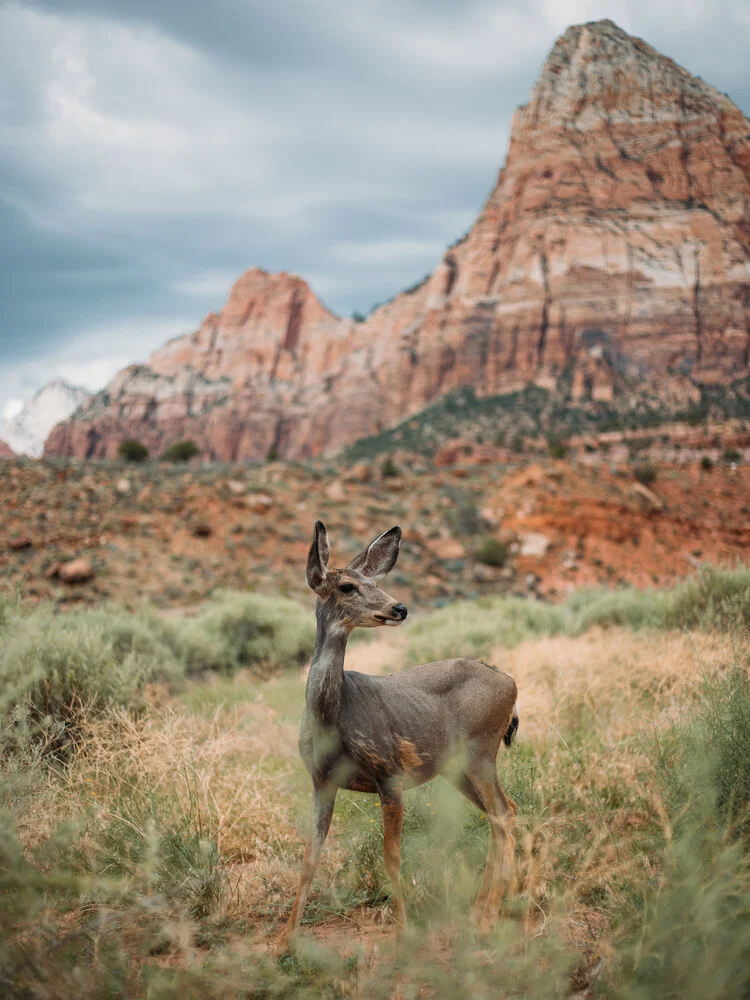 Bambi - fotokunst von Jannik Heck