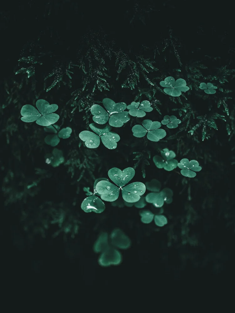 Dark Green - fotokunst von Luca Jaenichen