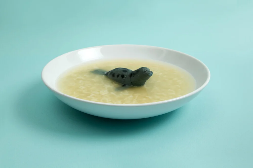 Sea Lion Soup - fotokunst von Loulou von Glup