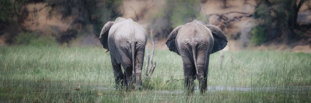 Elefanten im Makgadikgadi Pans National Park  - fotokunst von Dennis Wehrmann
