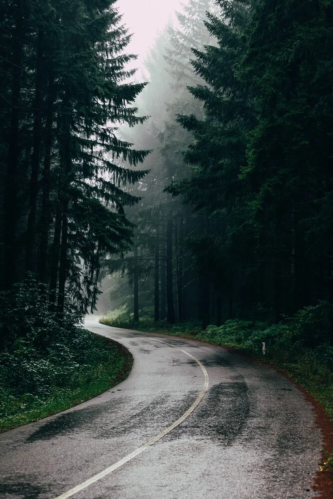 Rainy Road - fotokunst von Christian Hartmann