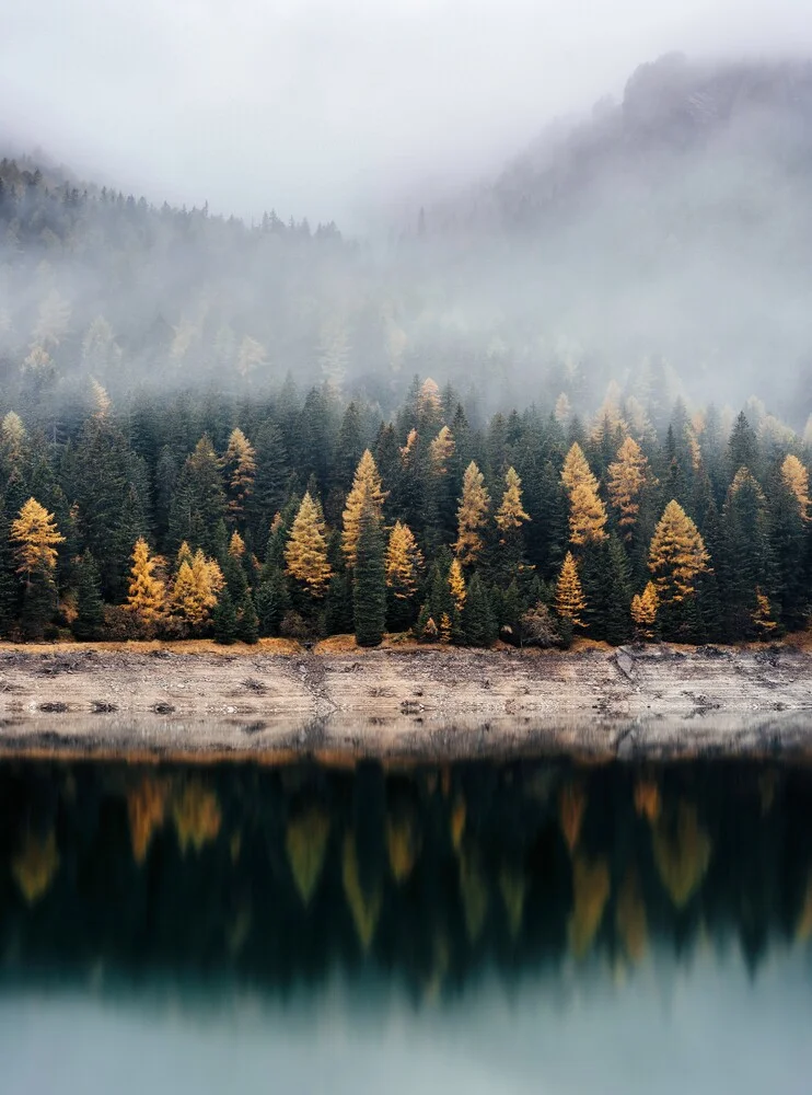 Herbstlicher Wald Reflektion - fotokunst von Christian Hartmann