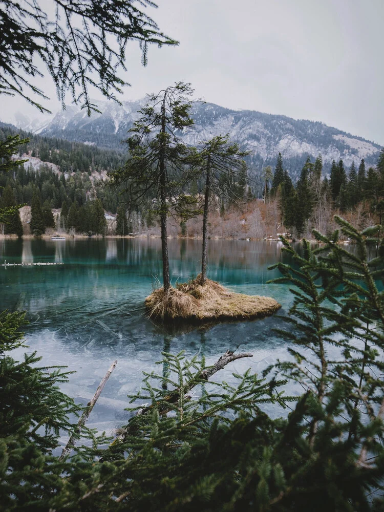 Insel im Crestasee - fotokunst von Jan Keller