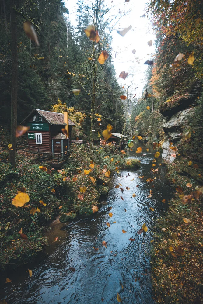 Blättertanz - fotokunst von Johannes Hulsch