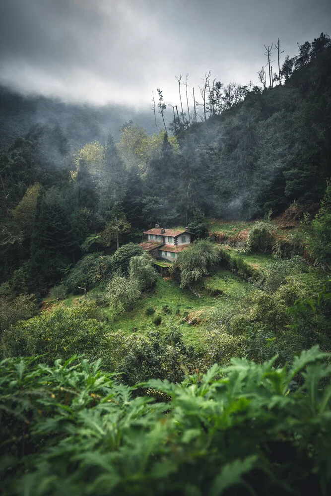 Cabin in the jungle - Fineart photography by Johannes Hulsch