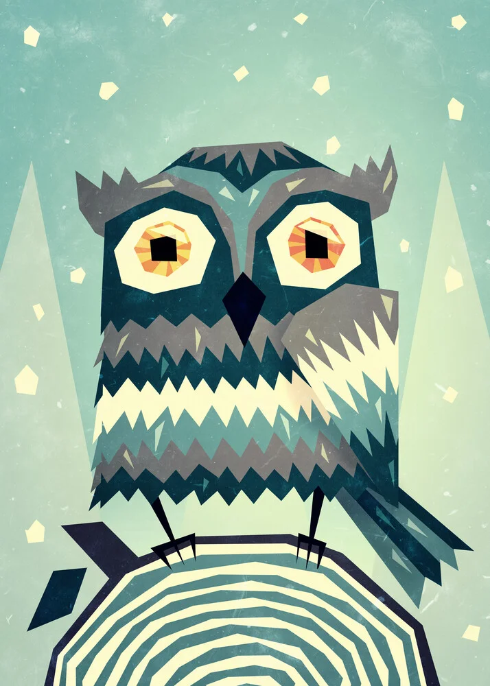 Owl III - fotokunst von Sjoerd Piepenbrink