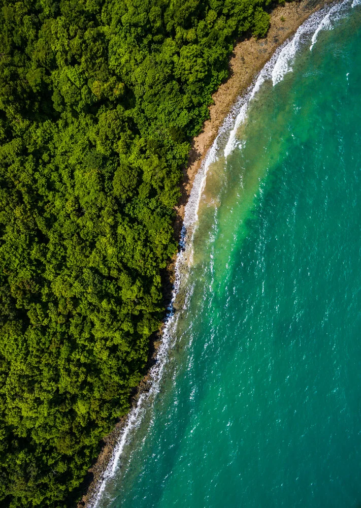 Sea vs Jungle Symmetry - fotokunst von Konrad Paruch