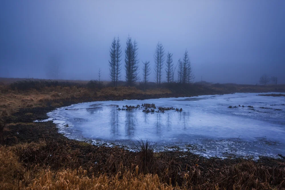 homeland fairy tale II - fotokunst von Philip Gunkel