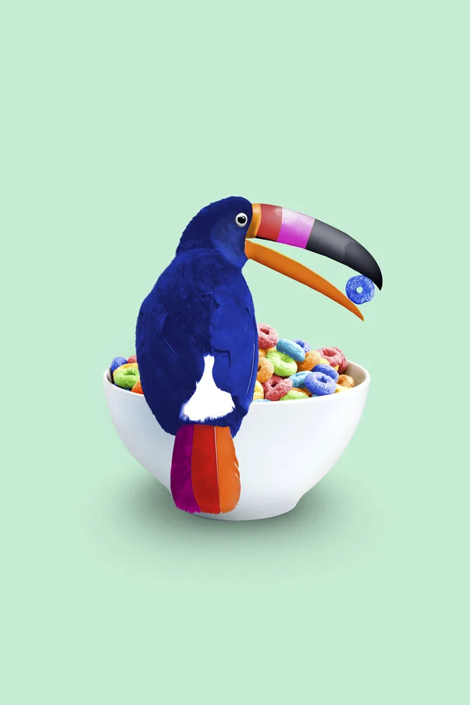 Cereal Toucan - Fineart photography by Jonas Loose