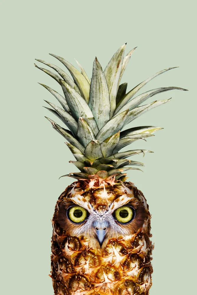 Ananas Eule - fotokunst von Jonas Loose