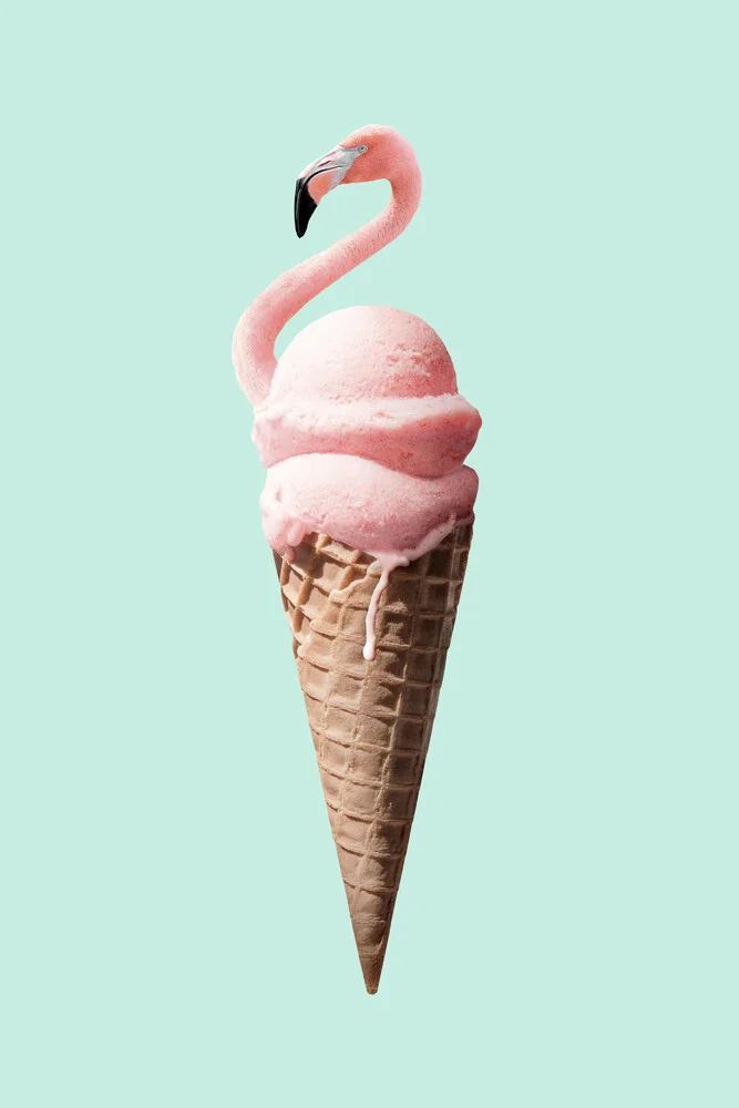 Flamingo Eis - fotokunst von Jonas Loose