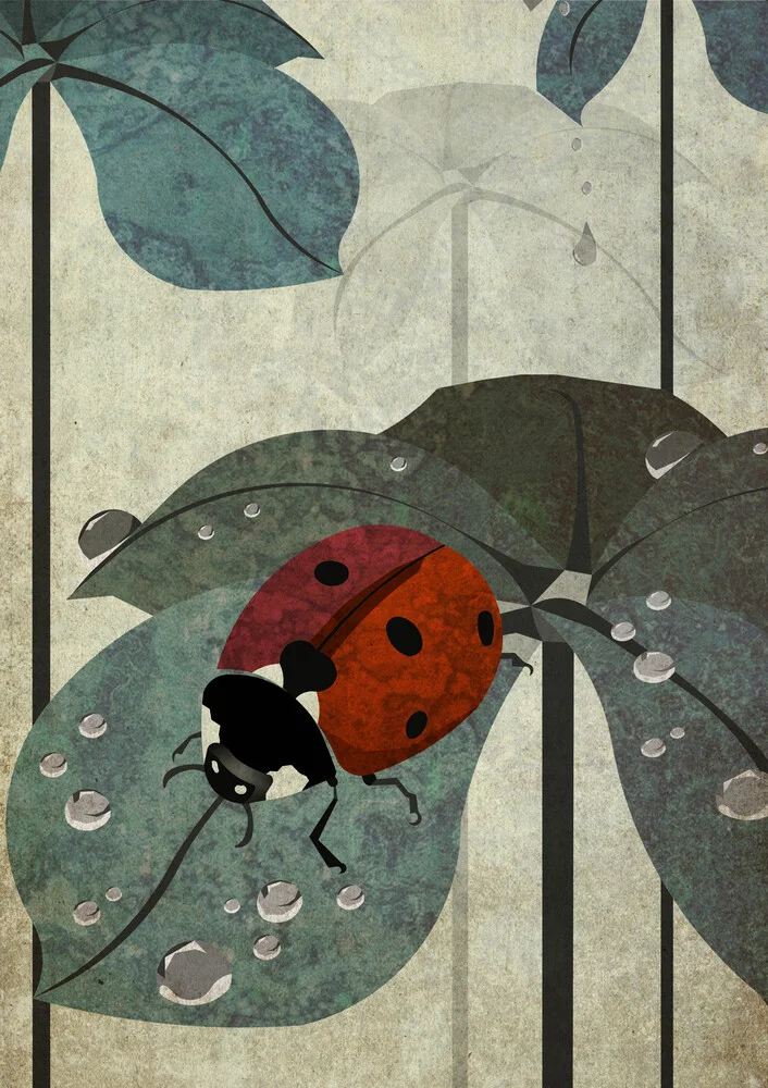 ladybug - Fineart photography by Sabrina Ziegenhorn