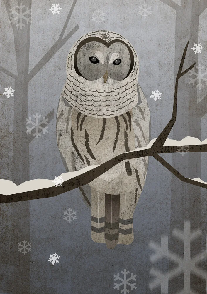 snowy owl - Fineart photography by Sabrina Ziegenhorn