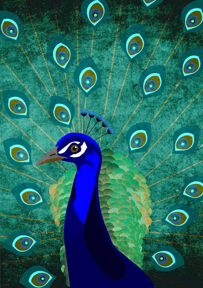 peacock - Fineart photography by Sabrina Ziegenhorn
