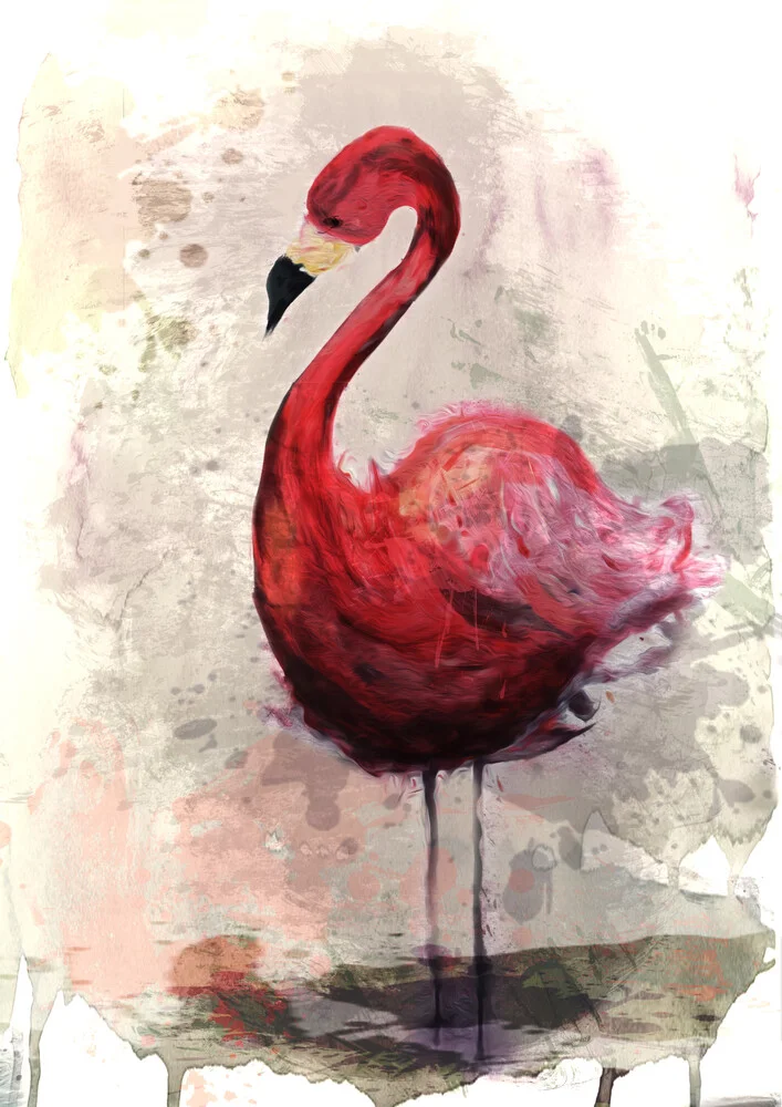 pink Flamingo - fotokunst von Sabrina Ziegenhorn