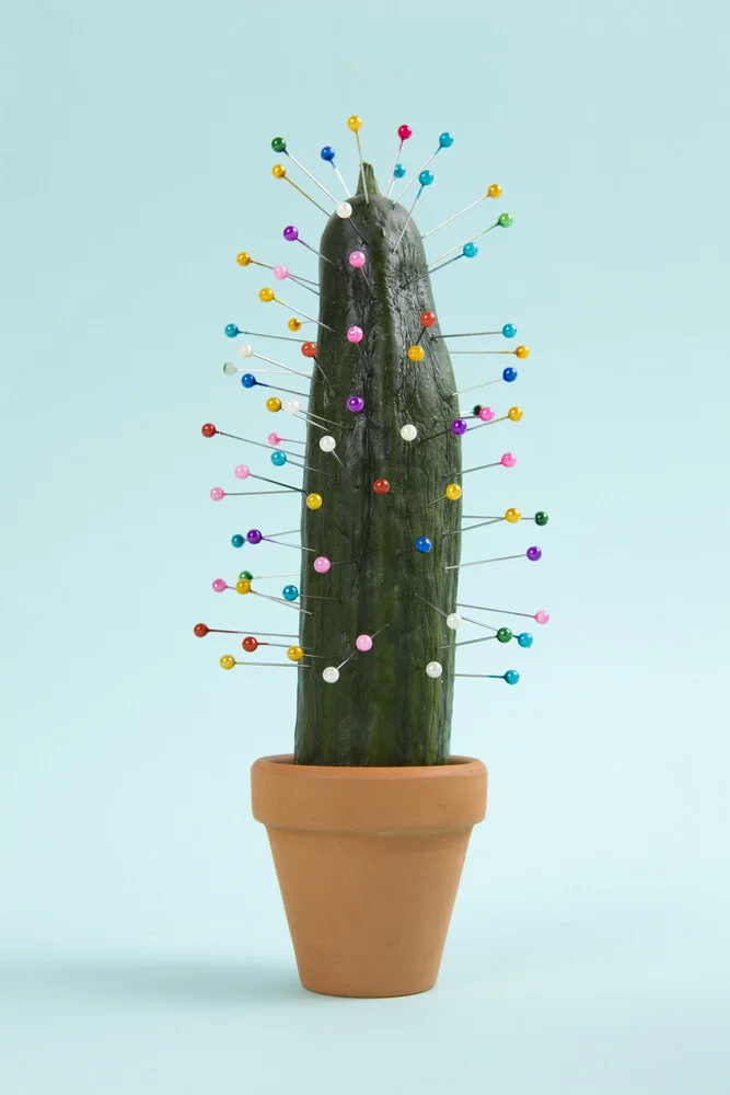 Cactus Voodoo - fotokunst von Loulou von Glup