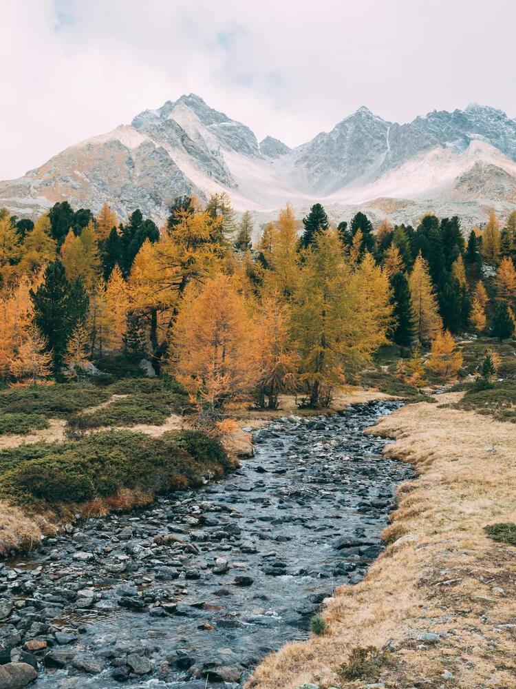 Die Farben des Herbsts - fotokunst von Sebastian ‚zeppaio' Scheichl