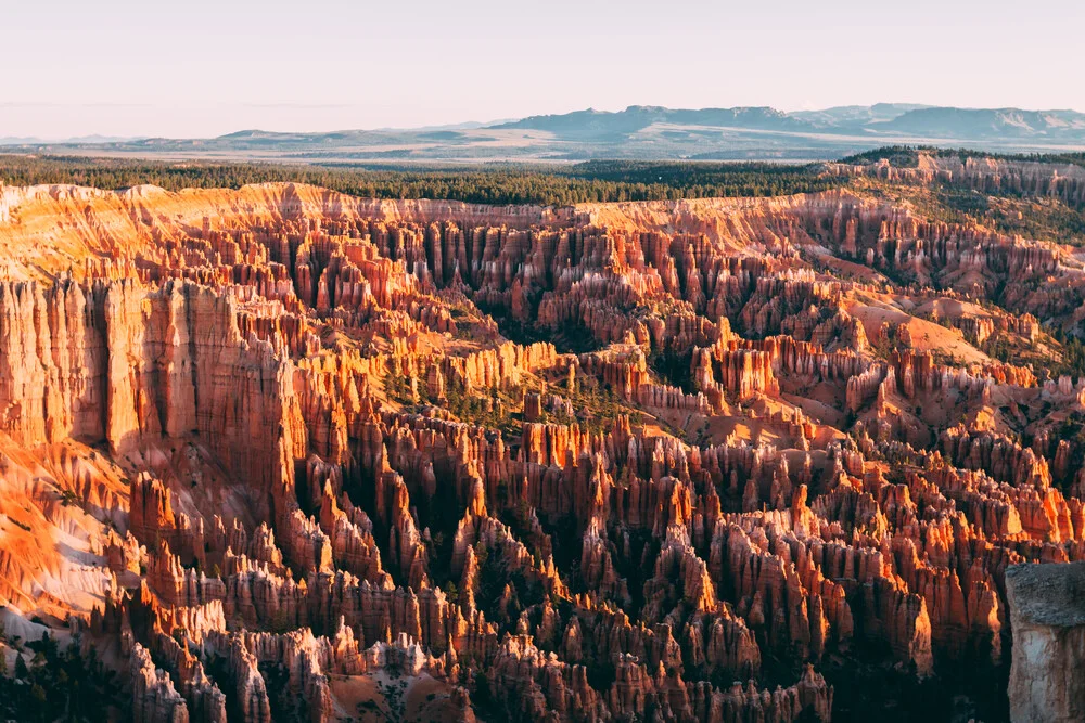 Sonnenaufgang im Bryce Canyon - fotokunst von Sebastian ‚zeppaio' Scheichl