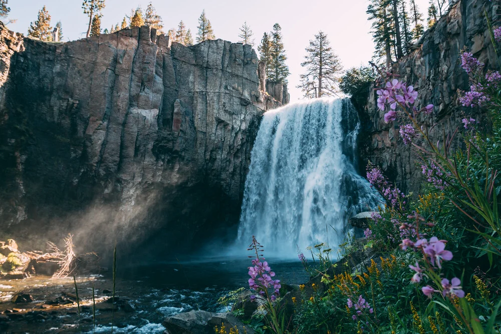 Blumen am Wasserfall - fotokunst von Sebastian ‚zeppaio' Scheichl