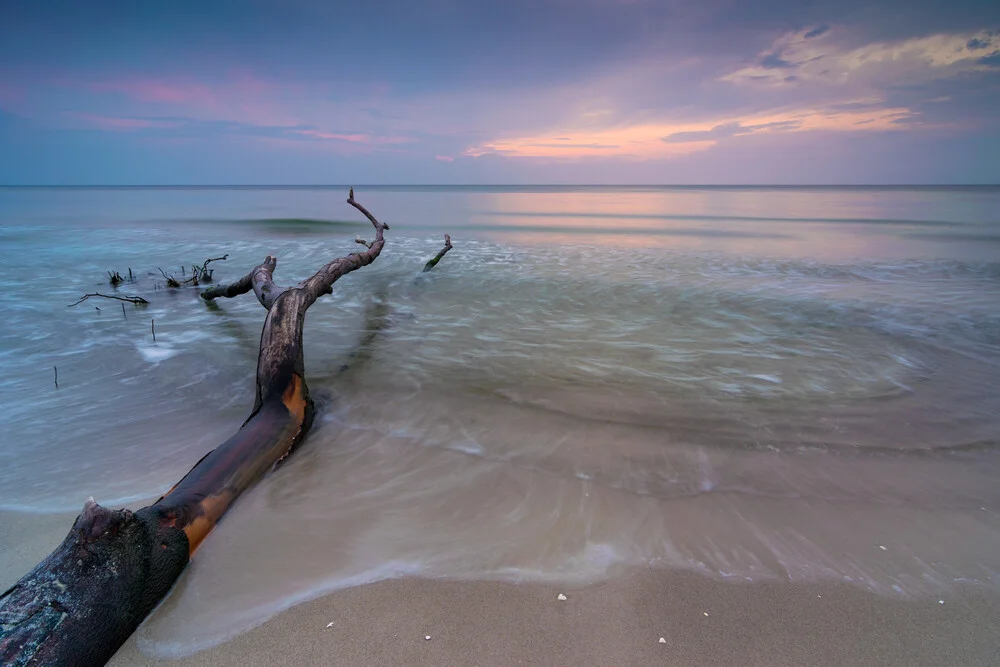 Wilder Weststrand - fotokunst von Martin Wasilewski