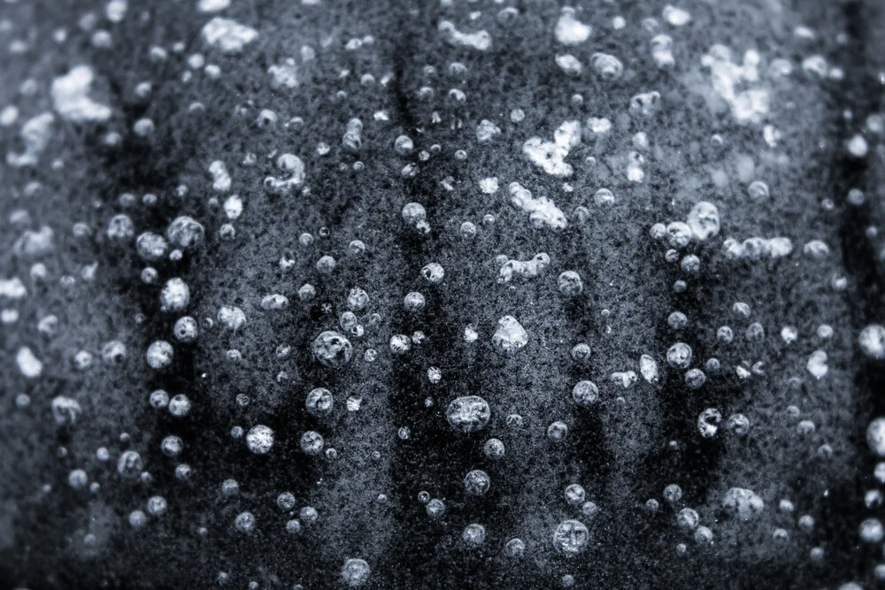 gefrorene Luftbläschen - fotokunst von Ezra Portent