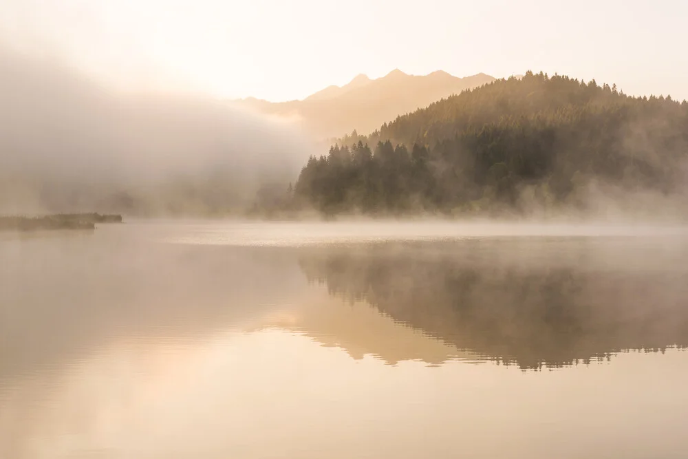 Cotton and Mountains - Fineart photography by Martin Wasilewski