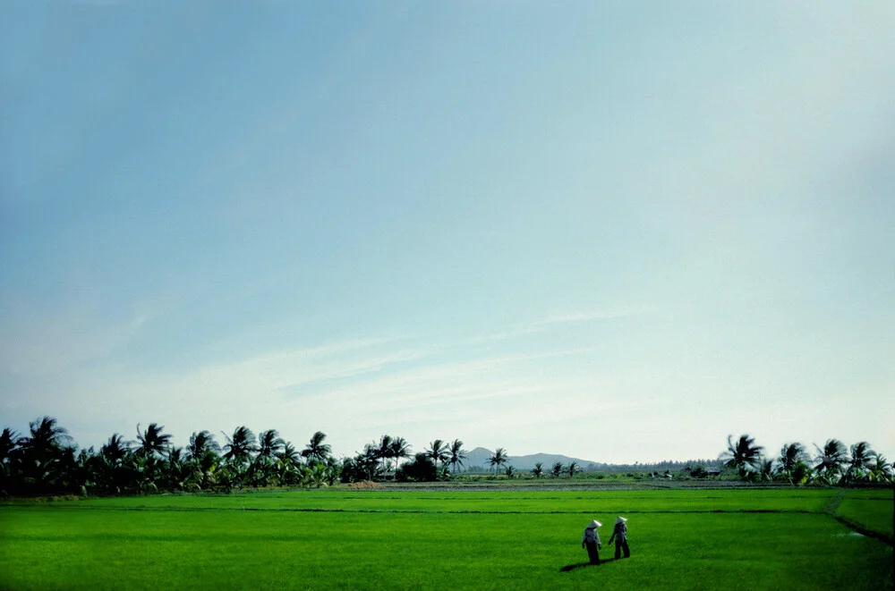 Paddy field - fotokunst von Michael Schöppner