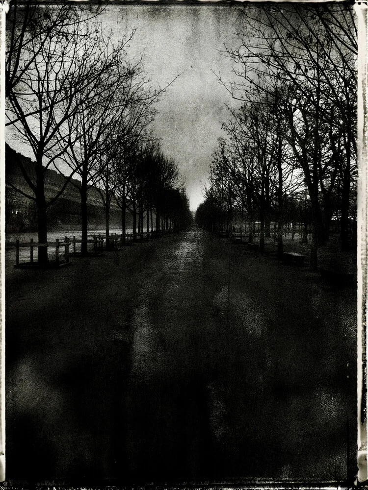 Tuileries - Fineart photography by Sophie Etchart