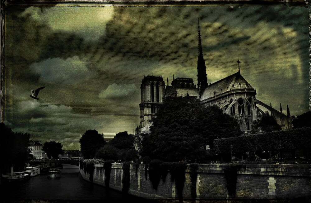 Notre Dame de Paris - fotokunst von Sophie Etchart