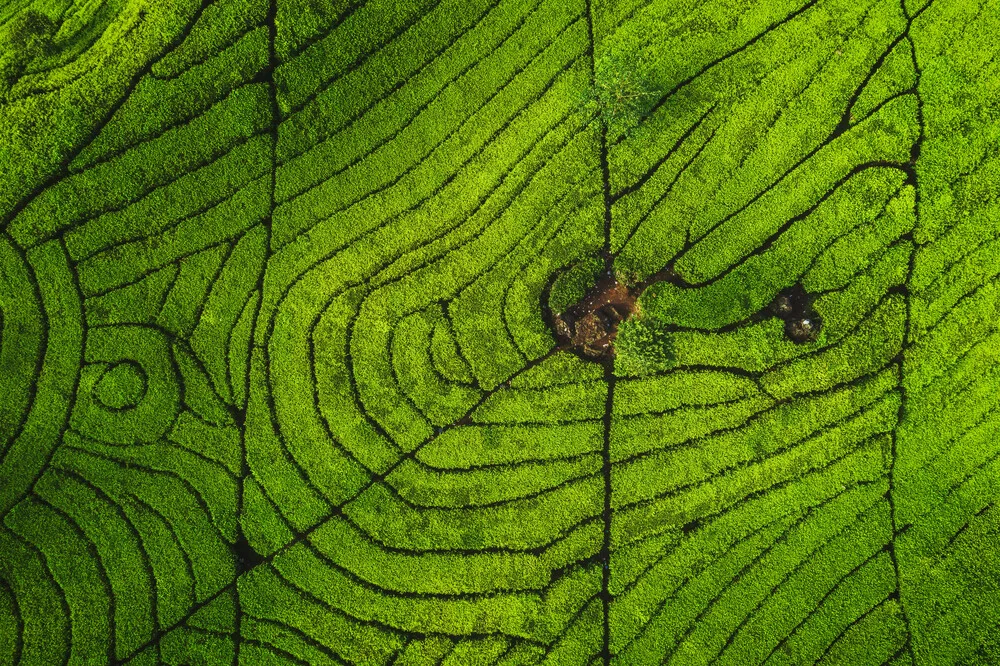 Indonesien von oben - fotokunst von Jean Claude Castor