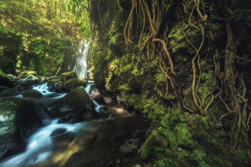 Wasserfall auf den Azoren Salto do Prego Sao Miguel - fotokunst von Jean Claude Castor